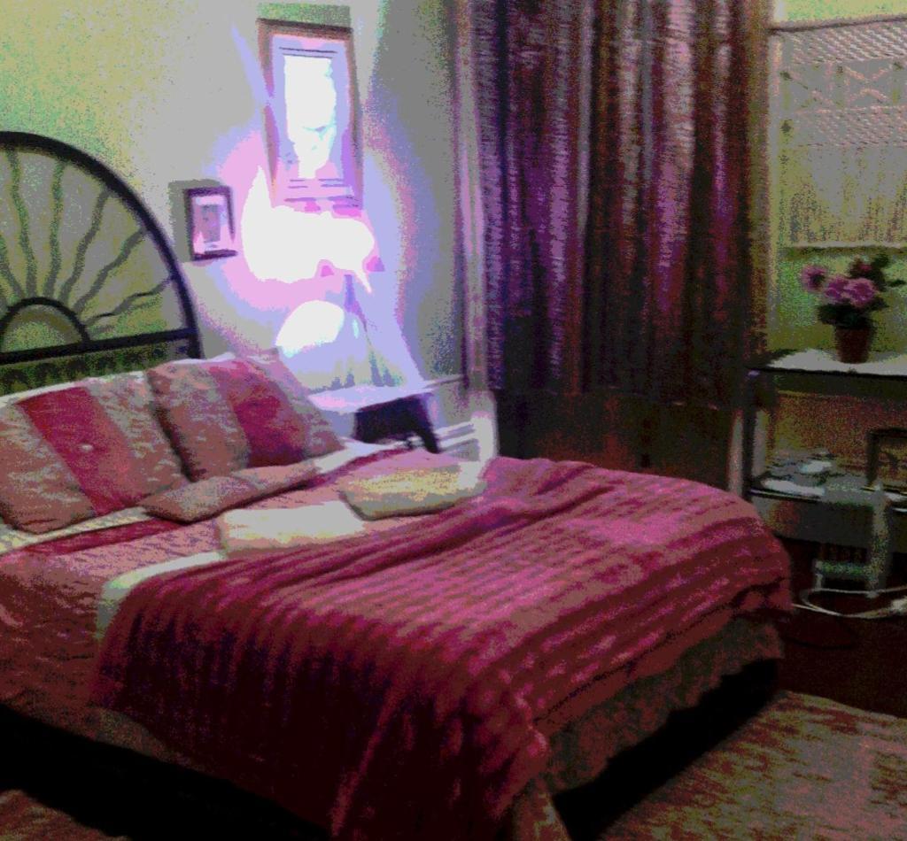Casa Dragao Bed & Breakfast Porto Ngoại thất bức ảnh